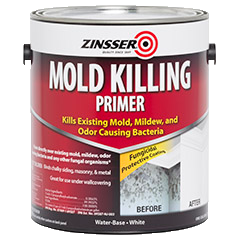 Anti shop mold paint