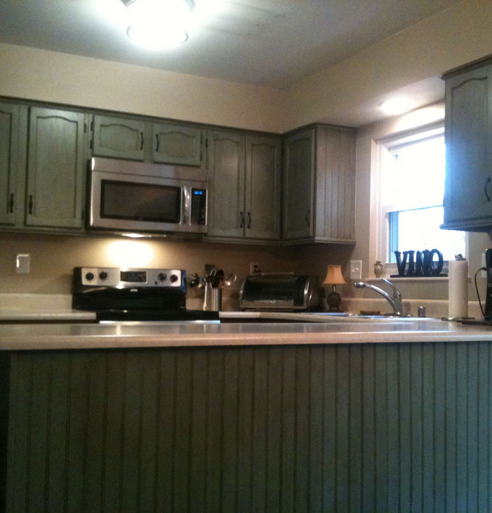 Cabinet Transformations Submitted By Adrienne W