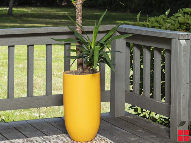 Modern planters picture