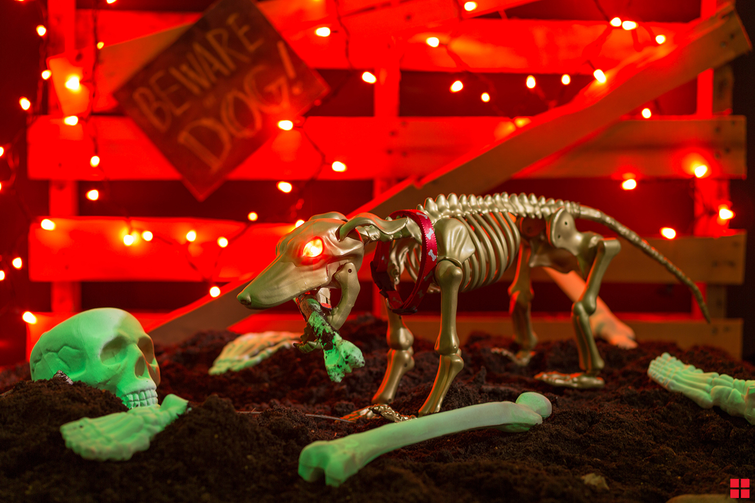 Halloween Skeletons In Spray Paint