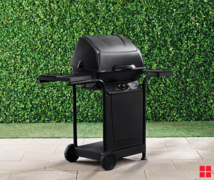 gratifying-grilling