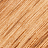 Ipswich Pine + Summer Oak