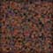 223523 - Autumn Brown