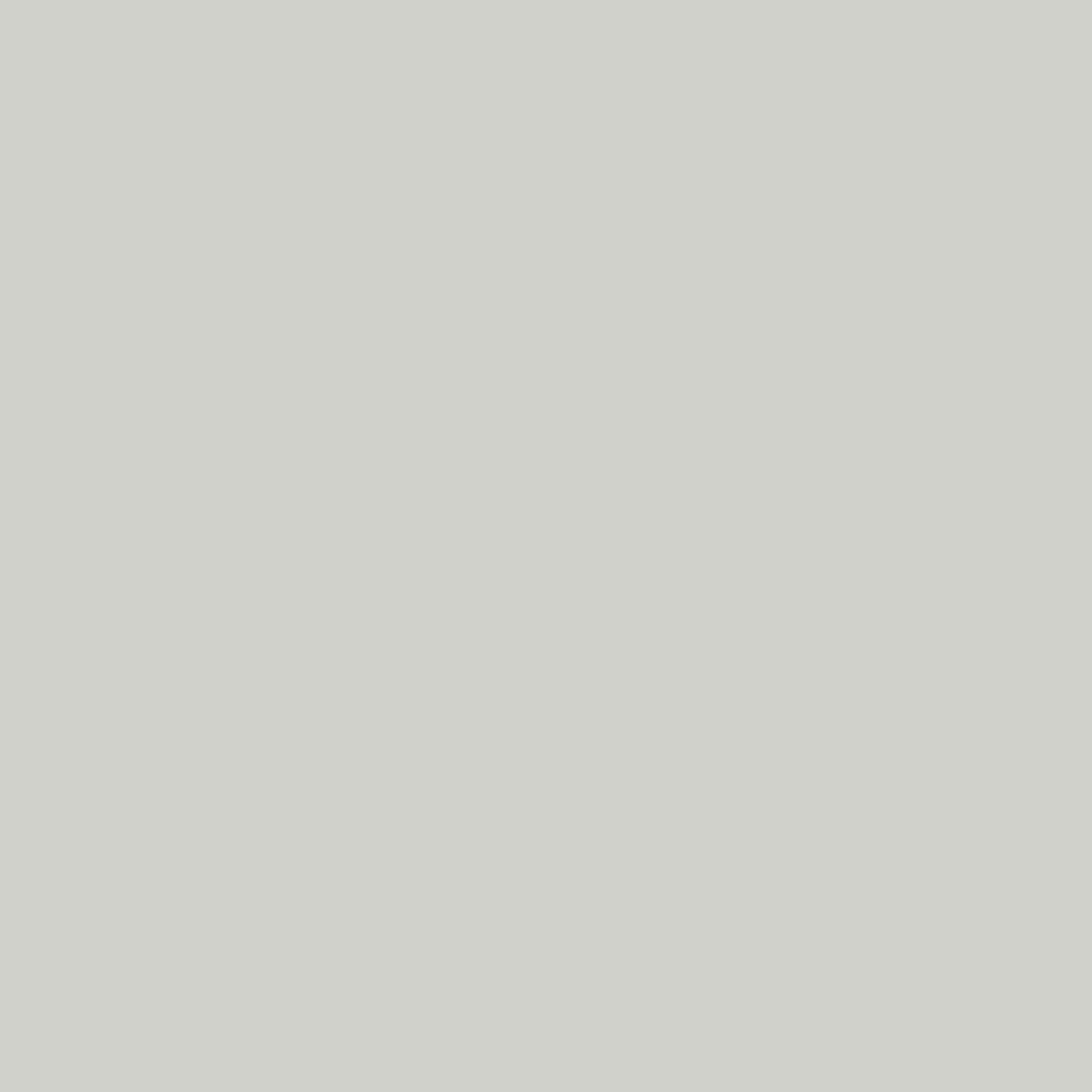 Painter's Touch 2X High Gloss Thunder Cloud Color Swatch