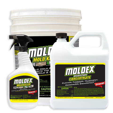 Moldex Nettoyant et désinfectant contre les moisissures Moldex<sup>®</sup>  128 oz