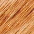 Traditional Pecan + Honey Maple