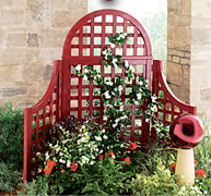 Red Lattice