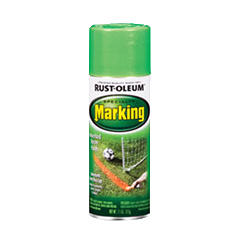 Related Product