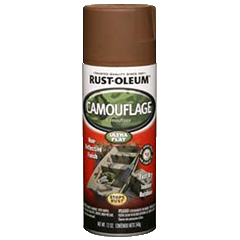 Rust-Oleum Acrylic Enamel 2X Spray Paint - Gloss Clear (12 oz.) 271913 -  Advance Auto Parts