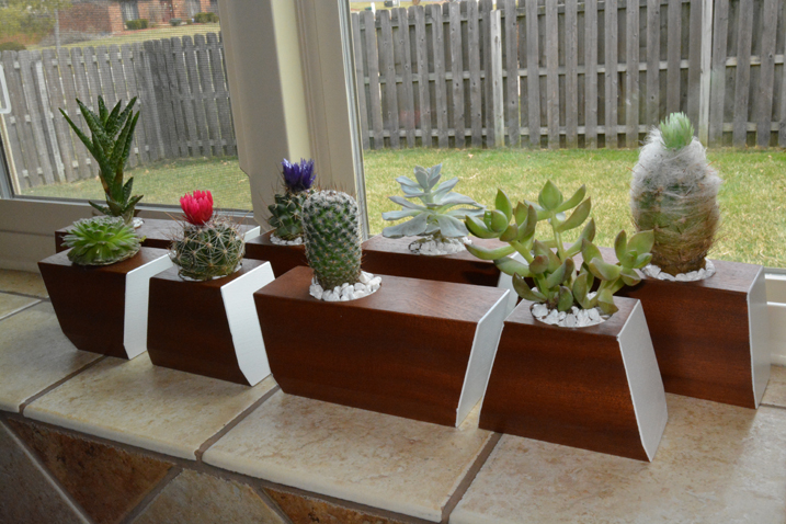 Modern Mini Cactus Planters