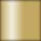 248653 - Metallic Gold