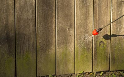 Cleaning the mildew off of a wood fence
