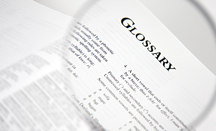 Glossary