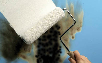 Coating above odor stains