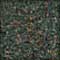 223526 - Deep Forest