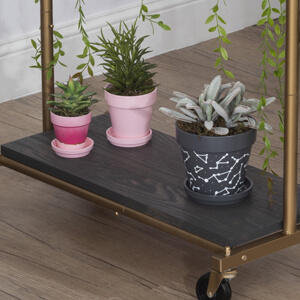 Three plants in painted flower pots.