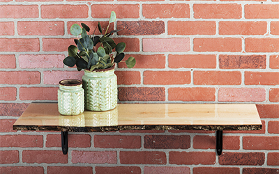 Live edge shelf on a wall with planters