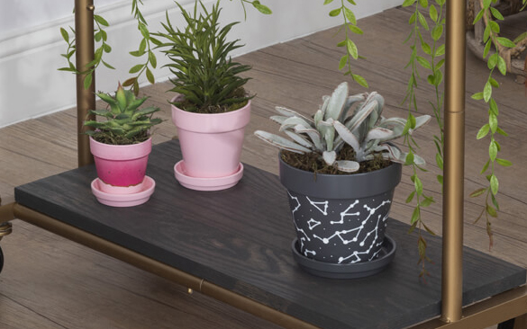 Three plants in painted flower pots.
