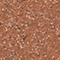 Decorative Concrete Coating swatch