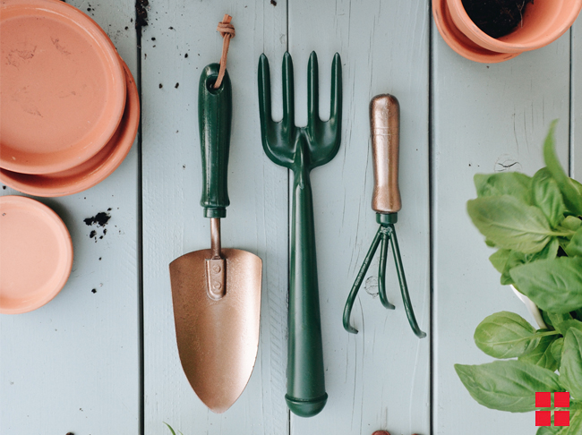 Refresh Rusted Garden Tools