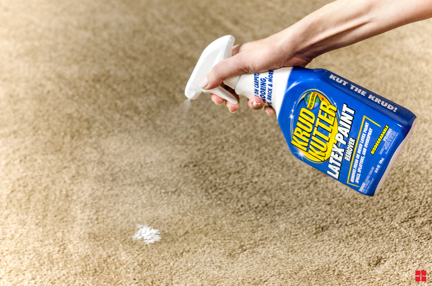 Remove Latex Paint from Any Surface