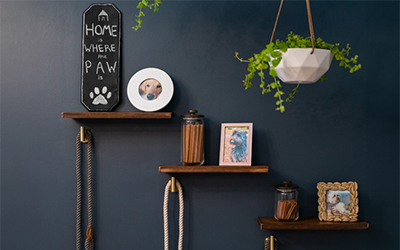 Stained shelves on wall
