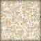 7990830 - Bleached Stone