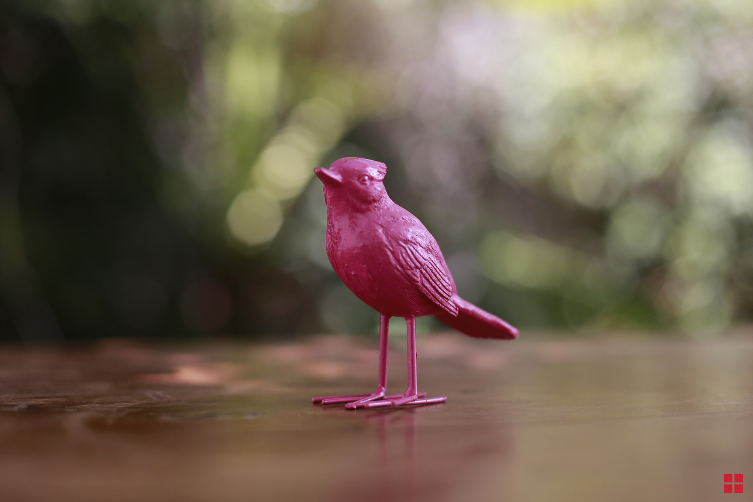 Bird After