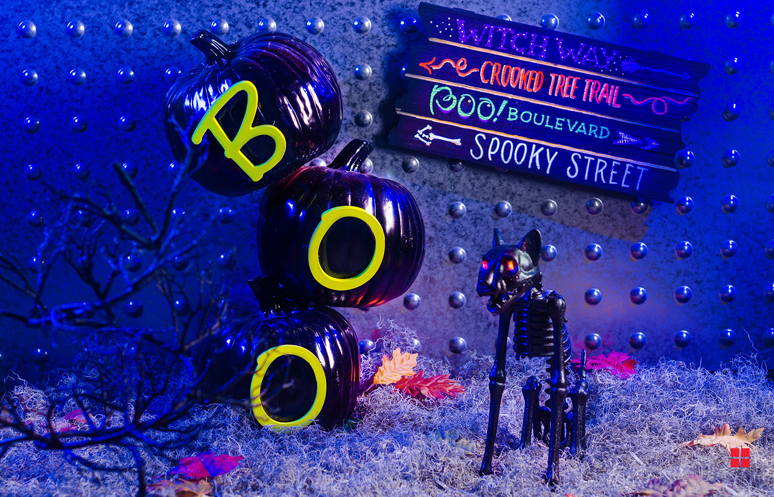 “Boo” painted on pumpkins next to a skeleton cat.