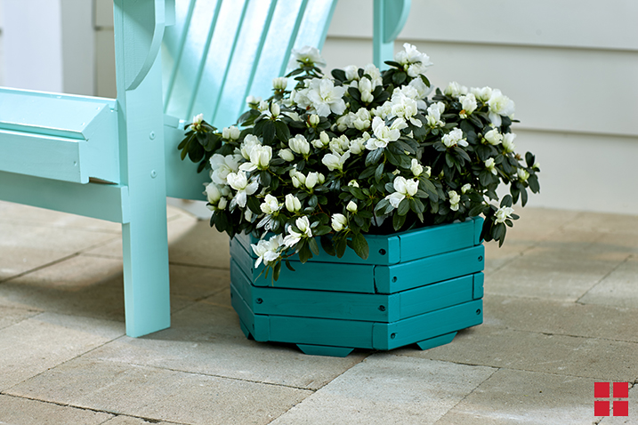 Spray Painted Adirondack Chair