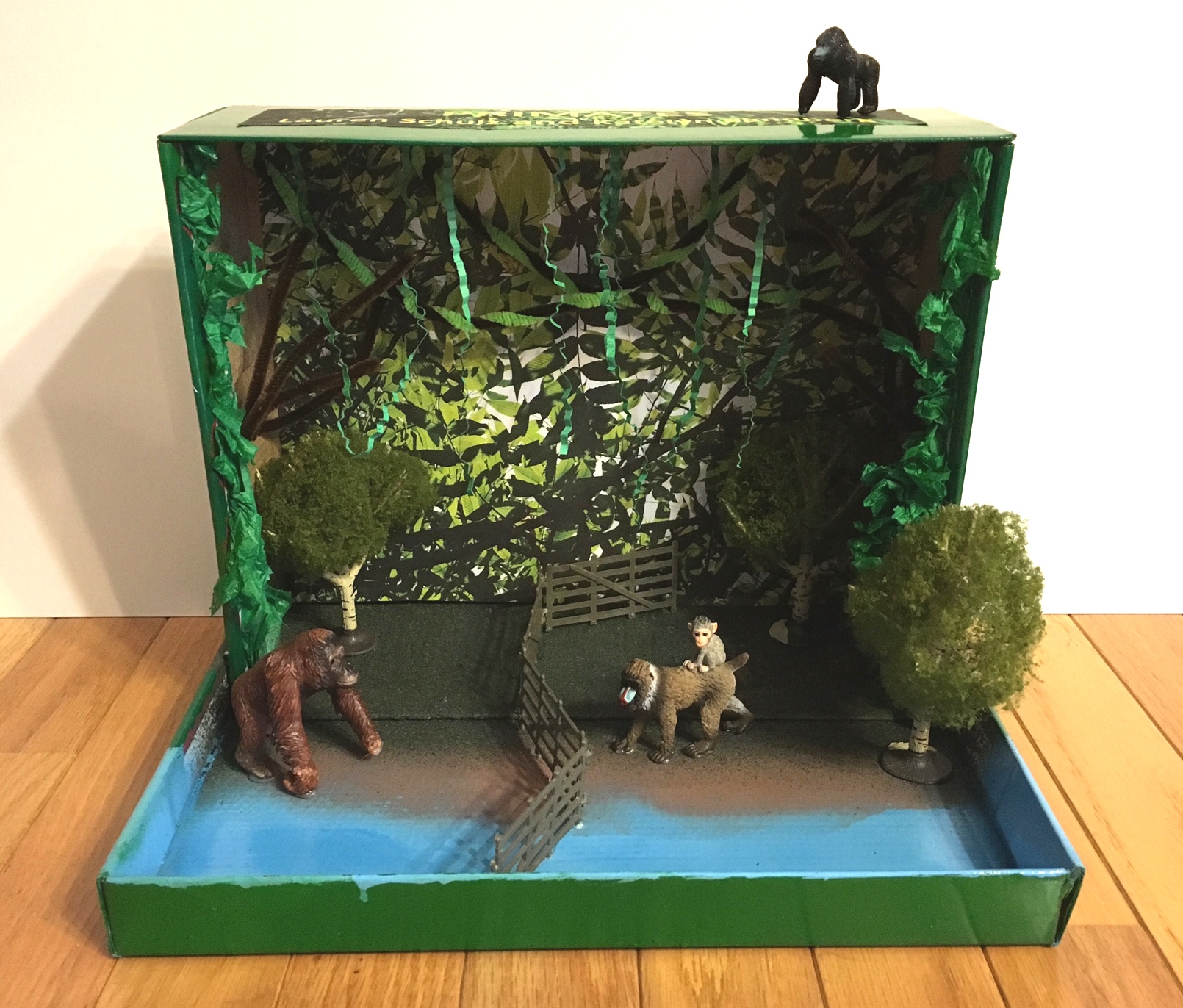 Primate Animal Habitat Diorama for Science Class